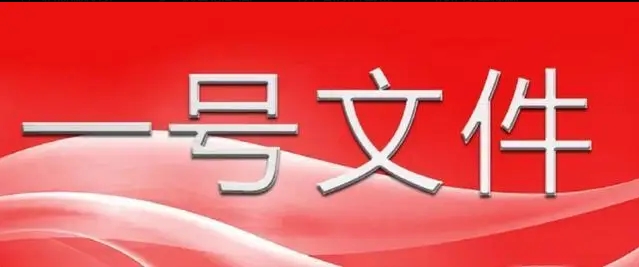 中共中央 國務(wù)院關(guān)于進(jìn)一步深化農(nóng)村改革 扎實(shí)推進(jìn)鄉(xiāng)村全面振興的意見